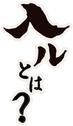 入ルとは?